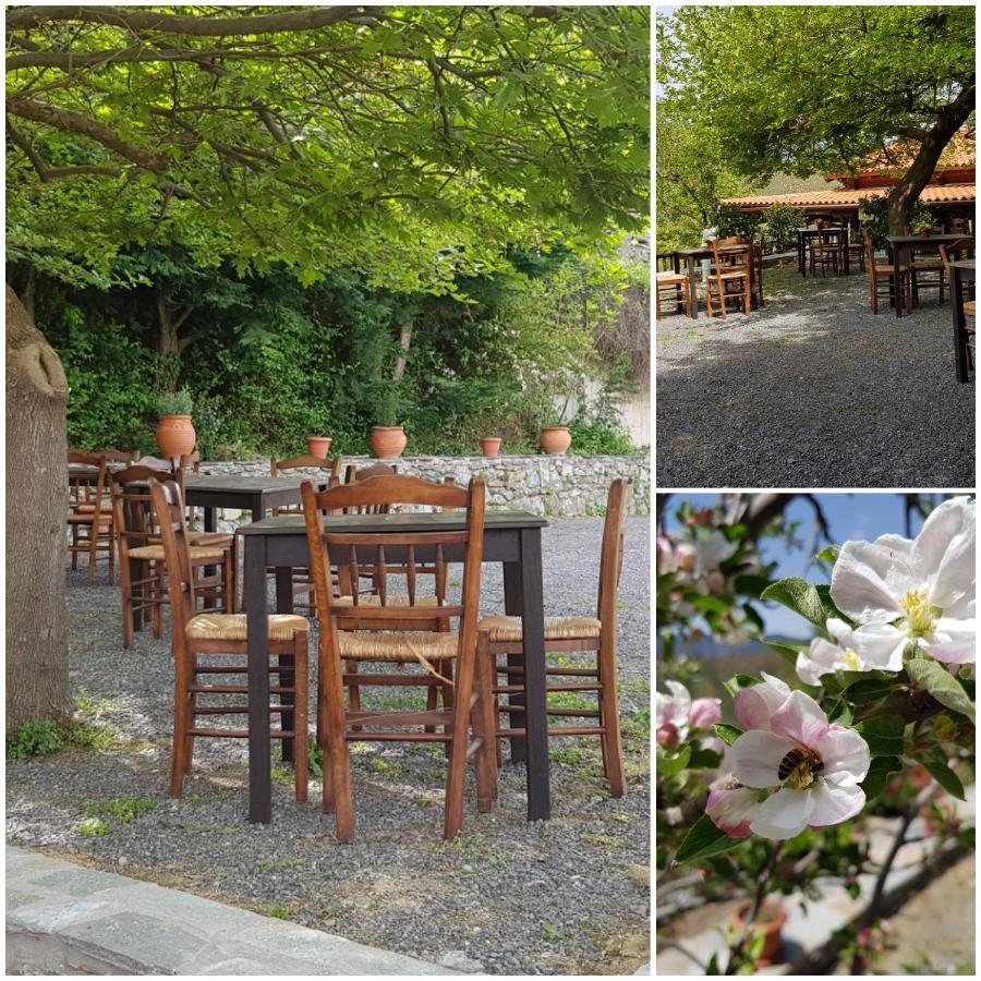 Alagonia Country Homes ภายนอก รูปภาพ