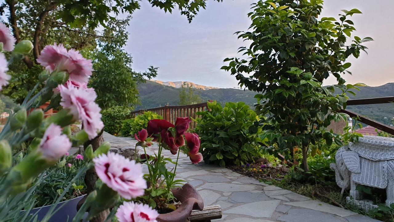 Alagonia Country Homes ภายนอก รูปภาพ