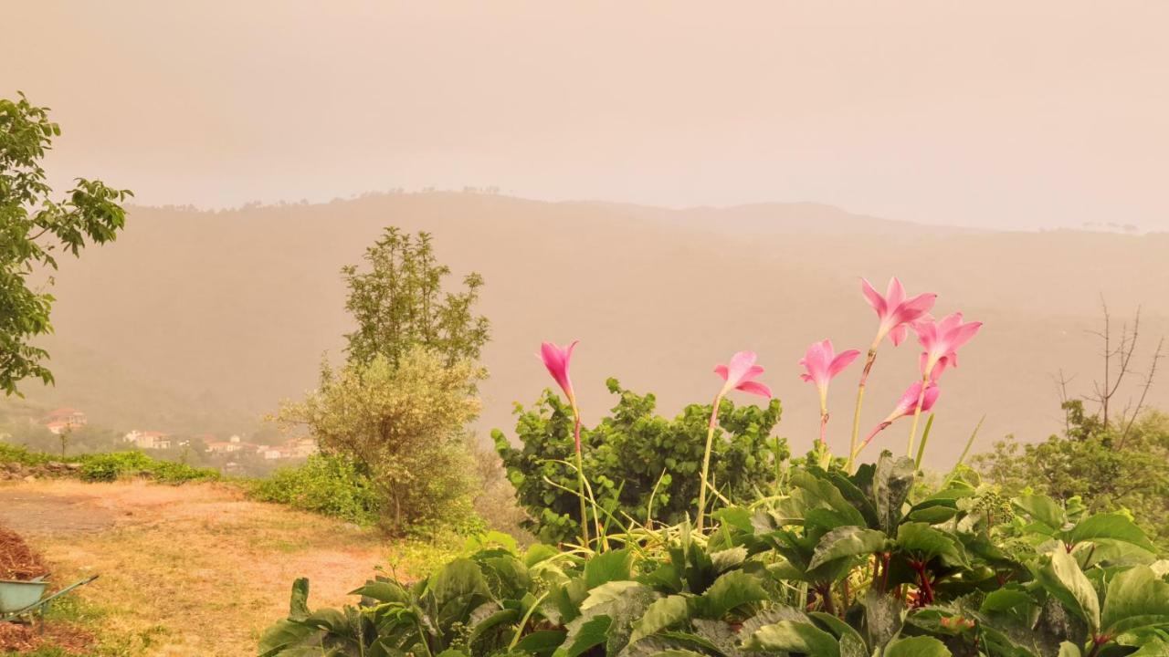 Alagonia Country Homes ภายนอก รูปภาพ
