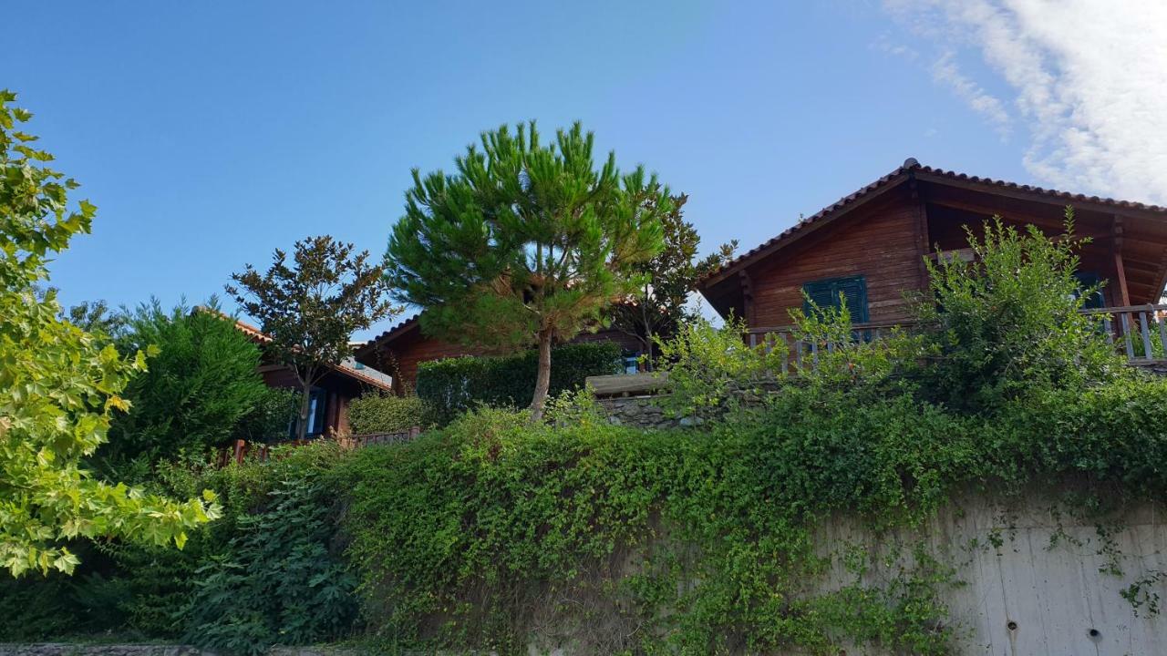 Alagonia Country Homes ภายนอก รูปภาพ