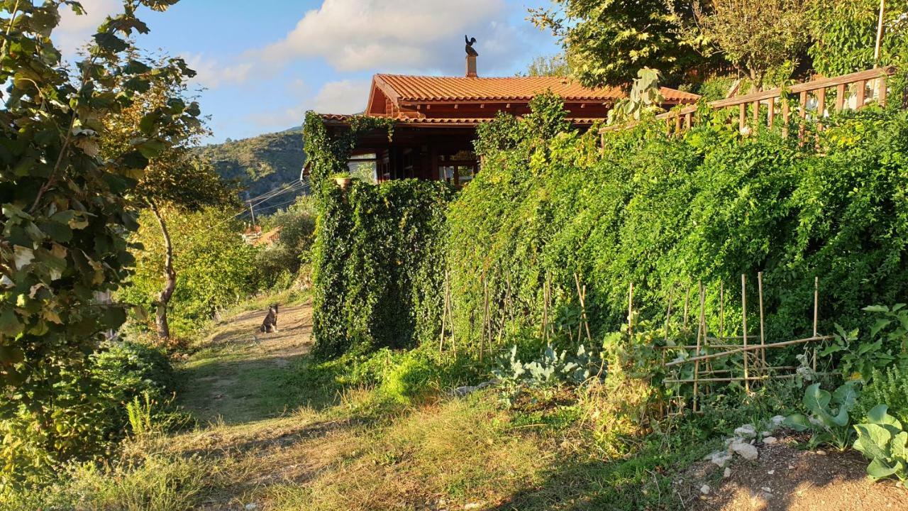 Alagonia Country Homes ภายนอก รูปภาพ