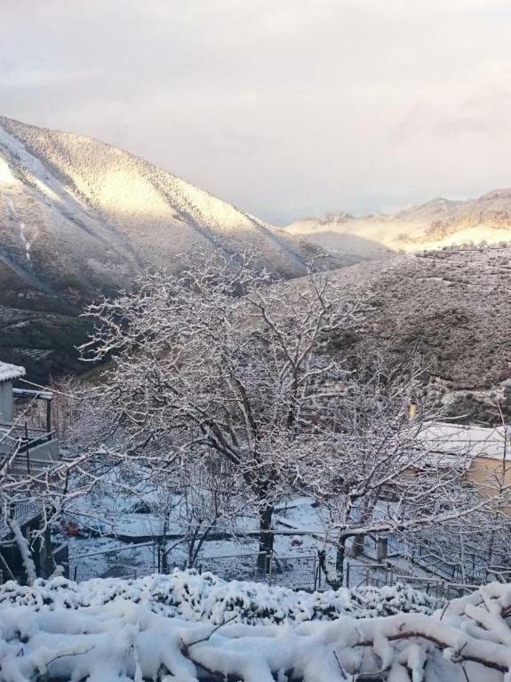 Alagonia Country Homes ภายนอก รูปภาพ