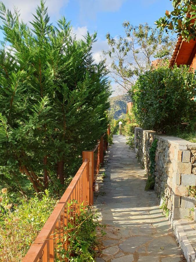 Alagonia Country Homes ภายนอก รูปภาพ