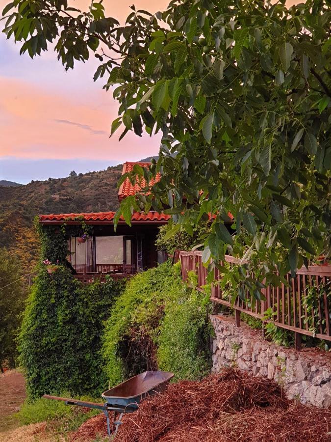 Alagonia Country Homes ภายนอก รูปภาพ